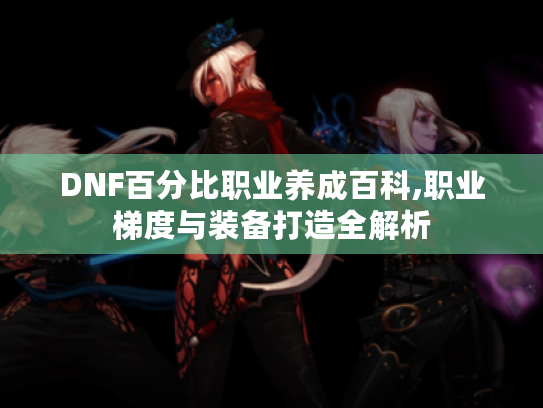 DNF百分比职业养成百科,职业梯度与装备打造全解析 DNF百分比职业养成百科,职业梯度与装备打造全解析