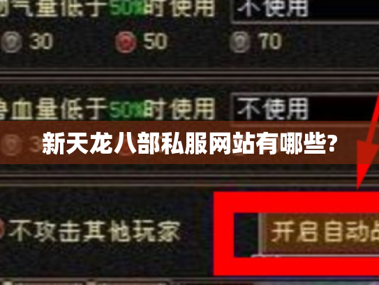 新天龙八部私服网站有哪些?