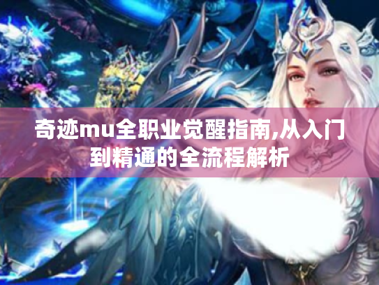 奇迹mu全职业觉醒指南,从入门到精通的全流程解析
