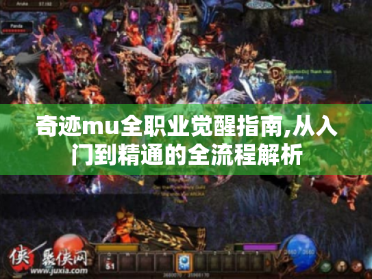 奇迹mu全职业觉醒指南,从入门到精通的全流程解析