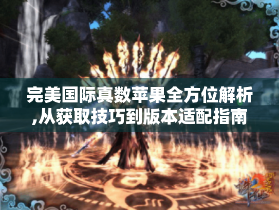 完美国际真数苹果全方位解析,从获取技巧到版本适配指南