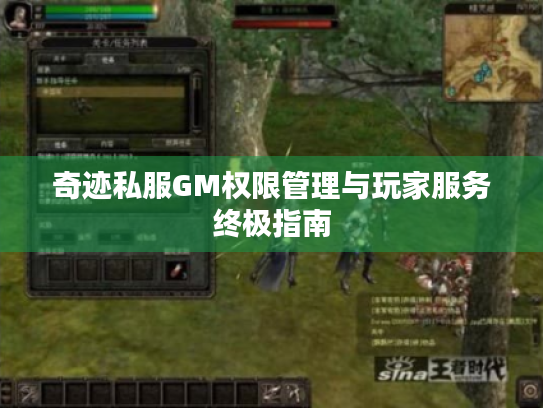 奇迹私服GM权限管理与玩家服务终极指南
