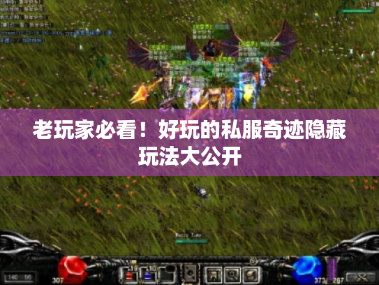 老玩家必看！好玩的私服奇迹隐藏玩法大公开
