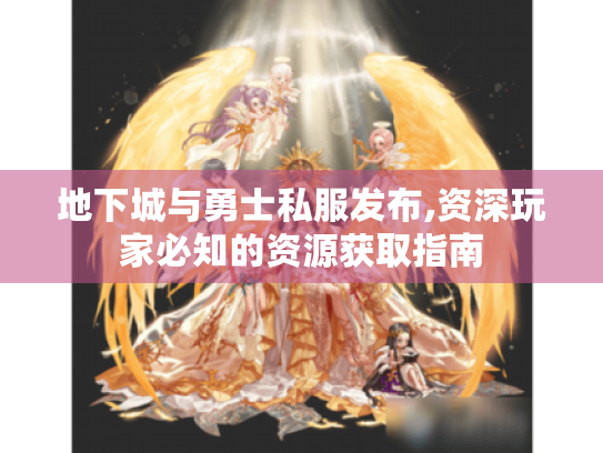 地下城与勇士私服发布,资深玩家必知的资源获取指南