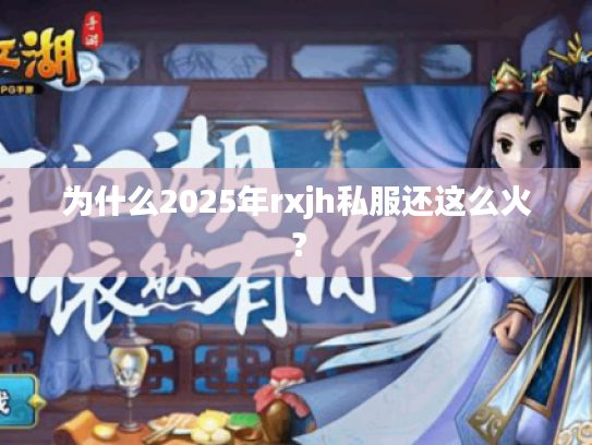 为什么2025年rxjh私服还这么火？