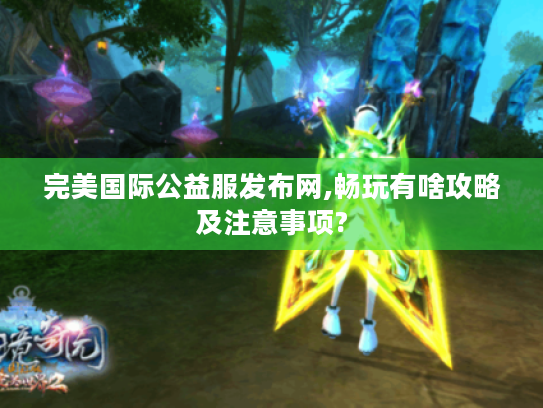 完美国际公益服发布网,畅玩有啥攻略及注意事项?