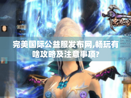 完美国际公益服发布网,畅玩有啥攻略及注意事项?