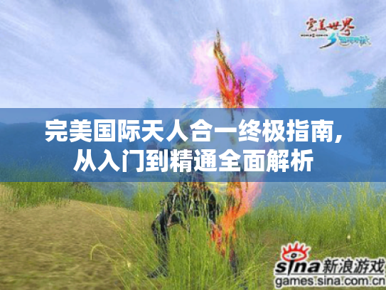 完美国际天人合一终极指南,从入门到精通全面解析 完美国际天人合一终极指南,从入门到精通全面解析