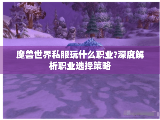 魔兽世界私服玩什么职业?深度解析职业选择策略
