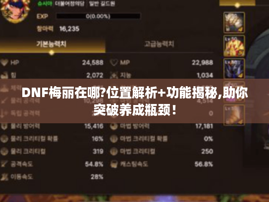 DNF梅丽在哪?位置解析+功能揭秘,助你突破养成瓶颈！