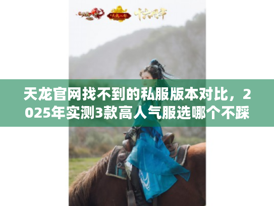 天龙官网找不到的私服版本对比，2025年实测3款高人气服选哪个不踩坑？