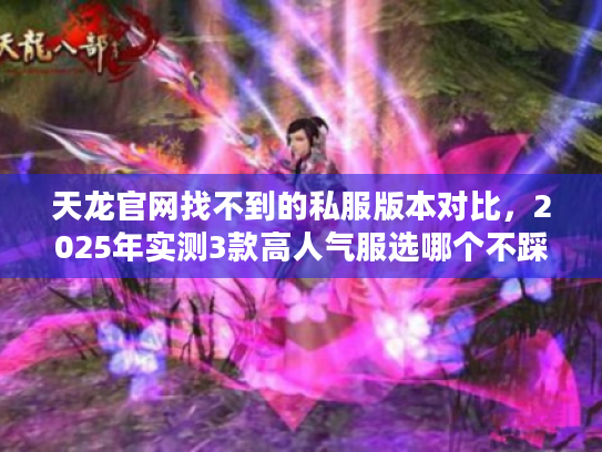 天龙官网找不到的私服版本对比，2025年实测3款高人气服选哪个不踩坑？
