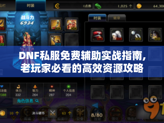 DNF私服免费辅助实战指南,老玩家必看的高效资源攻略