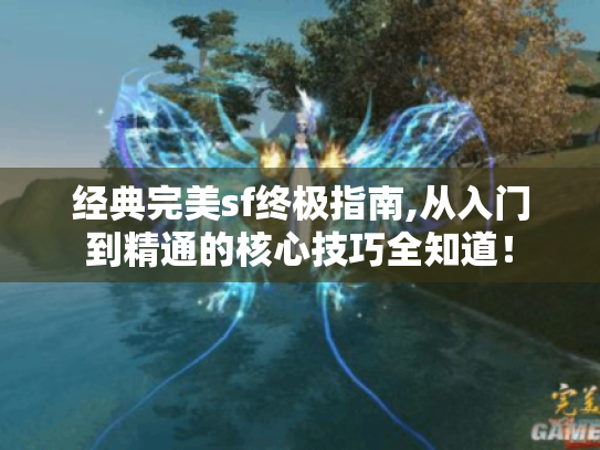经典完美sf终极指南,从入门到精通的核心技巧全知道！