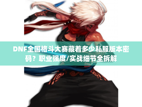 DNF全国格斗大赛藏着多少私服版本密码？职业强度/实战细节全拆解