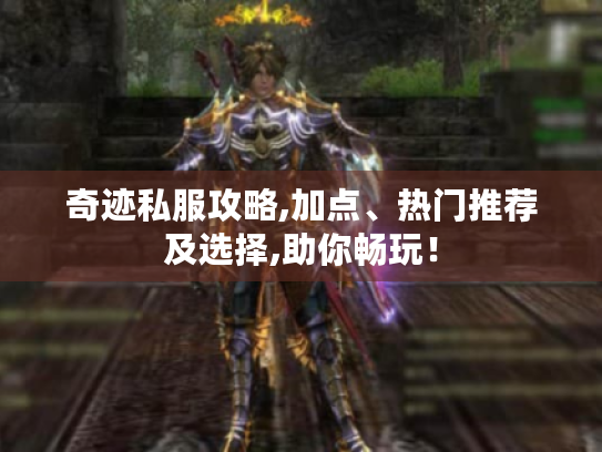 奇迹私服攻略,加点、热门推荐及选择,助你畅玩！