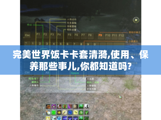 完美世界饭卡卡套清漪,使用、保养那些事儿,你都知道吗?