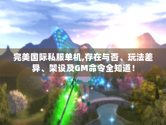 完美国际私服单机,存在与否、玩法差异、架设及GM命令全知道！