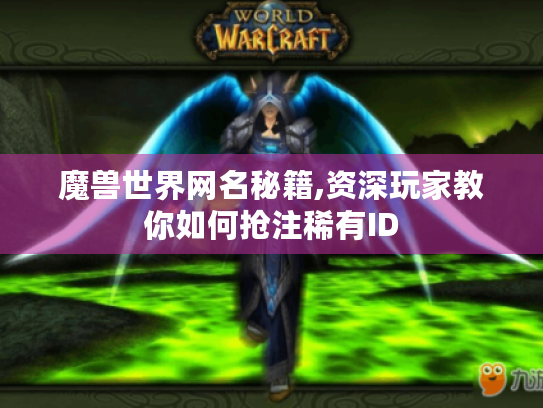 魔兽世界网名秘籍,资深玩家教你如何抢注稀有ID