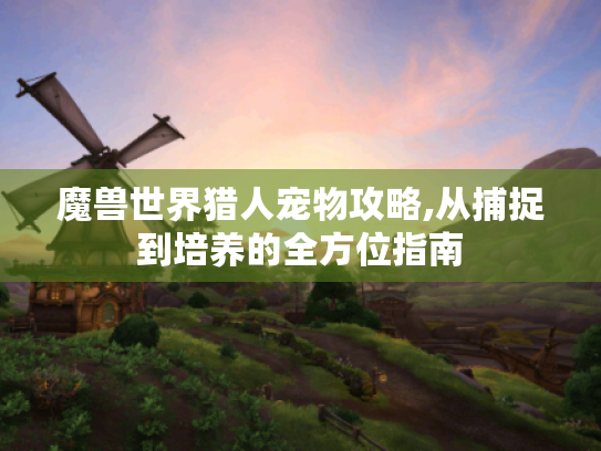 魔兽世界猎人宠物攻略,从捕捉到培养的全方位指南