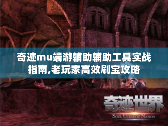 奇迹mu端游辅助辅助工具实战指南,老玩家高效刷宝攻略 奇迹mu端游辅助辅助工具实战指南,老玩家高效刷宝攻略