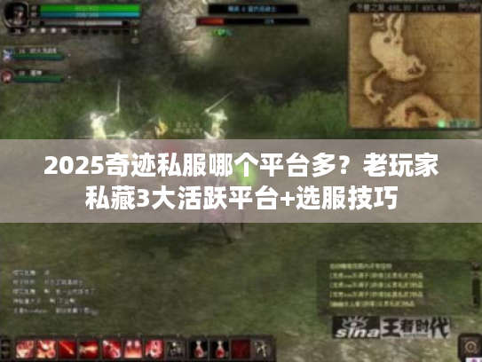 2025奇迹私服哪个平台多?老玩家私藏3大活跃平台+选服技巧 2025奇迹私服哪个平台多?老玩家私藏3大活跃平台+选服技巧