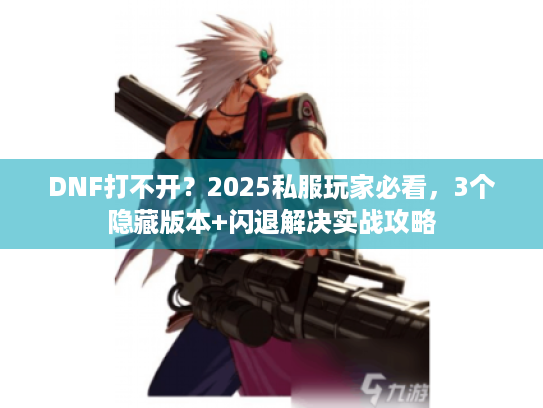 DNF打不开？2025私服玩家必看，3个隐藏版本+闪退解决实战攻略