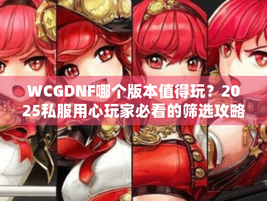 WCGDNF哪个版本值得玩？2025私服用心玩家必看的筛选攻略