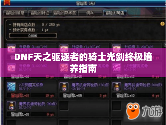 DNF天之驱逐者的骑士光剑终极培养指南