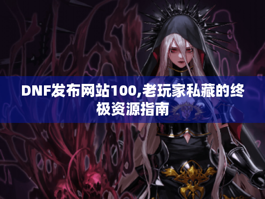 DNF发布网站100,老玩家私藏的终极资源指南