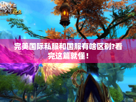 完美国际私服和国服有啥区别?看完这篇就懂！