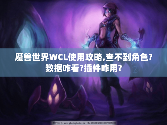 魔兽世界WCL使用攻略,查不到角色?数据咋看?插件咋用? 魔兽世界WCL使用攻略,查不到角色?数据咋看?插件咋用?
