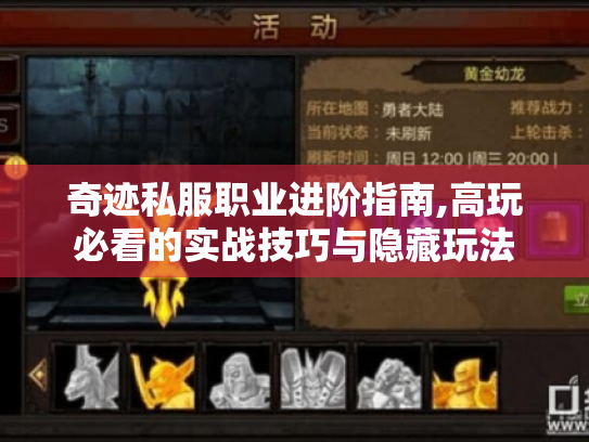 奇迹私服职业进阶指南,高玩必看的实战技巧与隐藏玩法