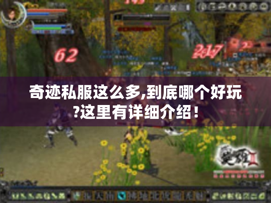 奇迹私服这么多,到底哪个好玩?这里有详细介绍！