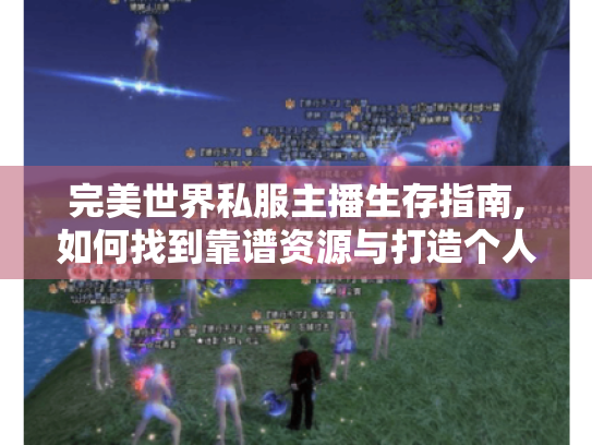 完美世界私服主播生存指南,如何找到靠谱资源与打造个人IP