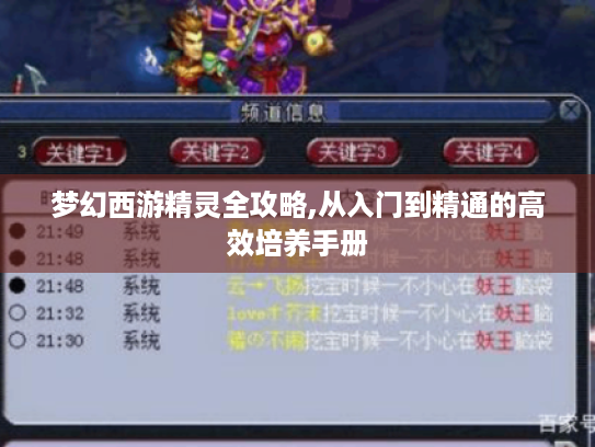 梦幻西游精灵全攻略,从入门到精通的高效培养手册