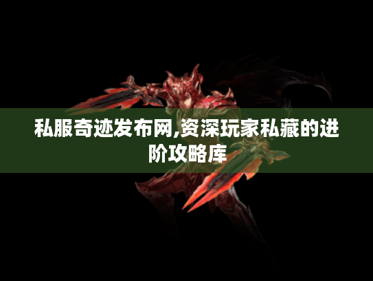 私服奇迹发布网,资深玩家私藏的进阶攻略库 私服奇迹发布网,资深玩家私藏的进阶攻略库