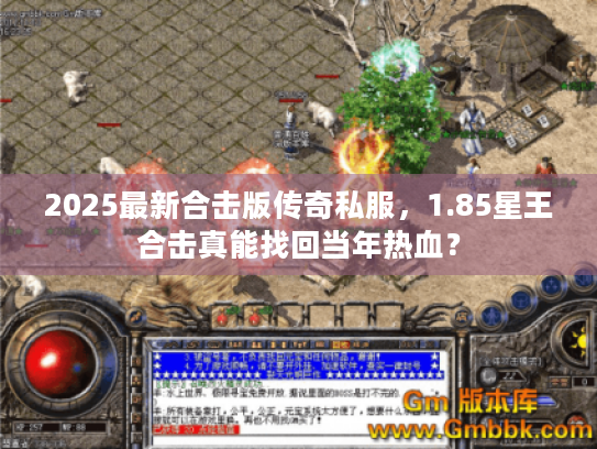 2025最新合击版传奇私服，1.85星王合击真能找回当年热血？