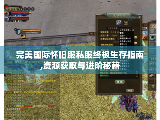 完美国际怀旧服私服终极生存指南,资源获取与进阶秘籍