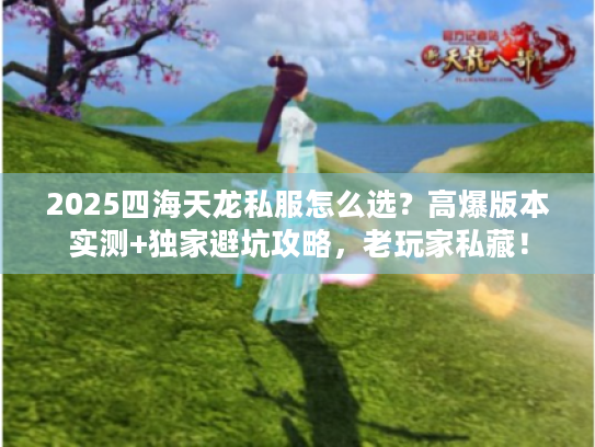 2025四海天龙私服怎么选？高爆版本实测+独家避坑攻略，老玩家私藏！