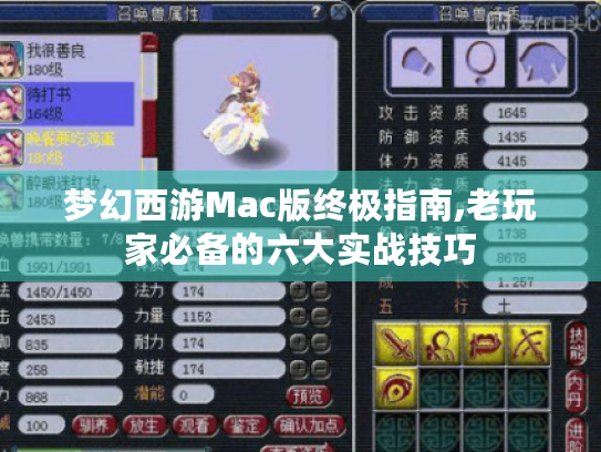 梦幻西游Mac版终极指南,老玩家必备的六大实战技巧 梦幻西游Mac版终极指南,老玩家必备的六大实战技巧