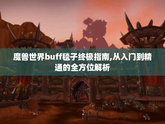 魔兽世界buff毯子终极指南,从入门到精通的全方位解析