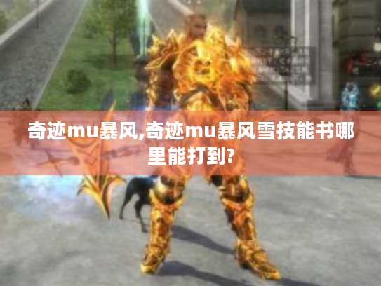 奇迹mu暴风,奇迹mu暴风雪技能书哪里能打到?