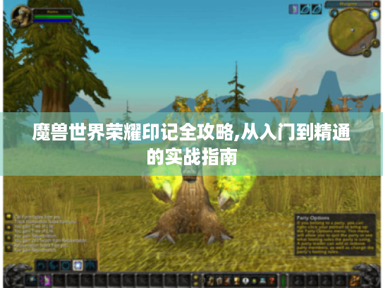 魔兽世界荣耀印记全攻略,从入门到精通的实战指南