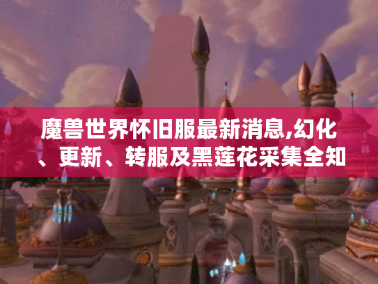魔兽世界怀旧服最新消息,幻化、更新、转服及黑莲花采集全知晓