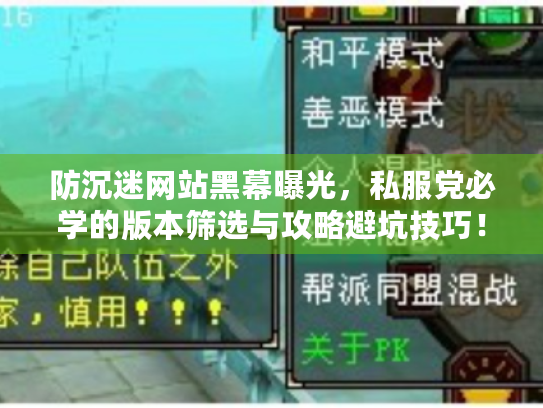 防沉迷网站黑幕曝光，私服党必学的版本筛选与攻略避坑技巧！