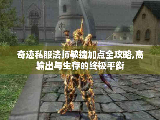 奇迹私服法师敏捷加点全攻略,高输出与生存的终极平衡