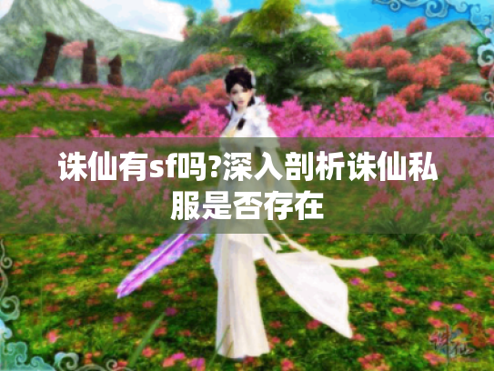 诛仙有sf吗?深入剖析诛仙私服是否存在