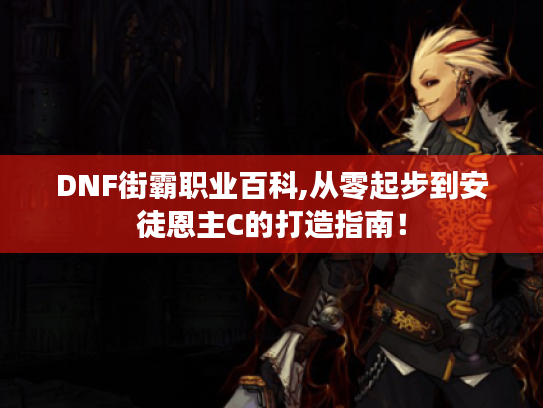 DNF街霸职业百科,从零起步到安徒恩主C的打造指南! DNF街霸职业百科,从零起步到安徒恩主C的打造指南!