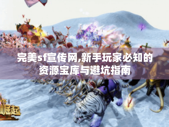 完美sf宣传网,新手玩家必知的资源宝库与避坑指南
